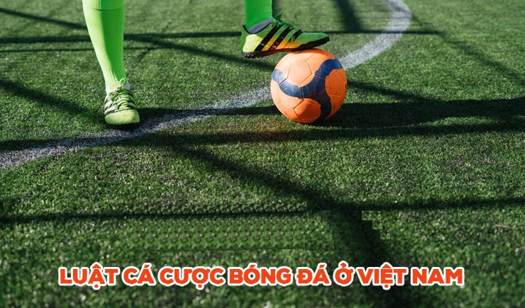 luật chơi cá độ bóng đá ở Việt Nam dành cho người mới